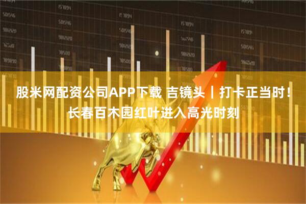 股米网配资公司APP下载 吉镜头｜打卡正当时！长春百木园红叶进入高光时刻