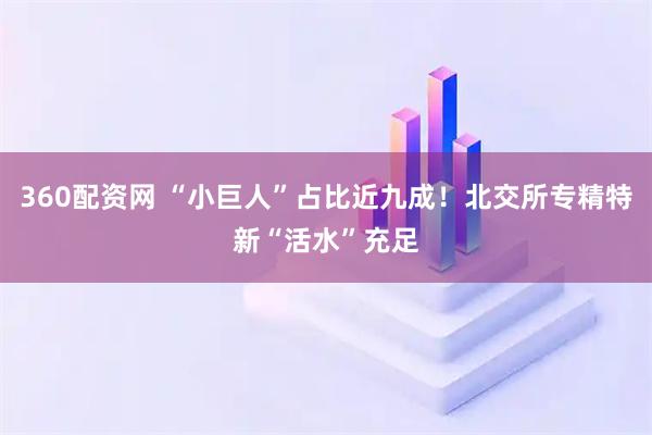 360配资网 “小巨人”占比近九成！北交所专精特新“活水”充足